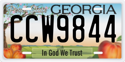 GA license plate CCW9844