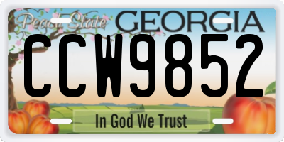 GA license plate CCW9852