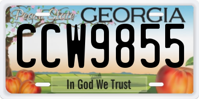 GA license plate CCW9855