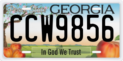 GA license plate CCW9856