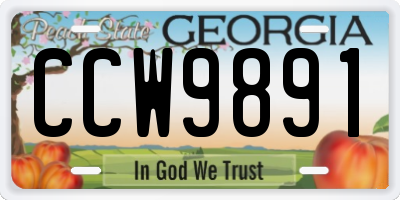 GA license plate CCW9891