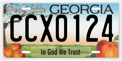 GA license plate CCX0124