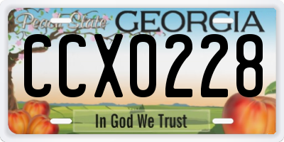 GA license plate CCX0228
