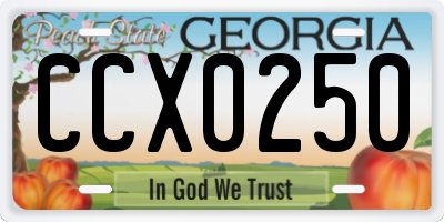 GA license plate CCX0250