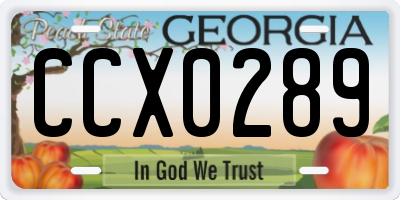 GA license plate CCX0289