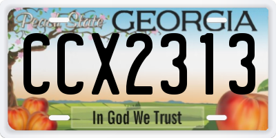 GA license plate CCX2313