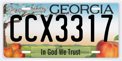 GA license plate CCX3317
