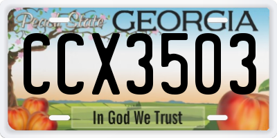 GA license plate CCX3503