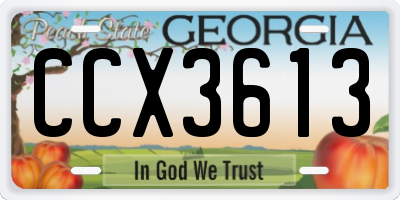 GA license plate CCX3613