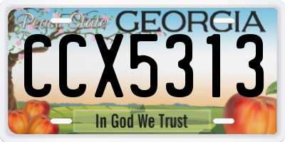 GA license plate CCX5313