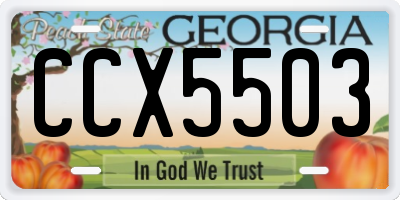 GA license plate CCX5503
