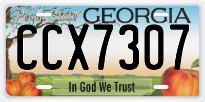 GA license plate CCX7307