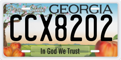 GA license plate CCX8202