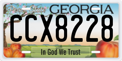 GA license plate CCX8228