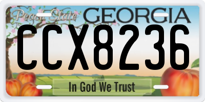 GA license plate CCX8236