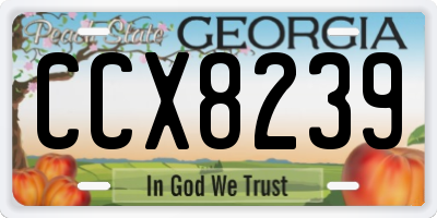 GA license plate CCX8239