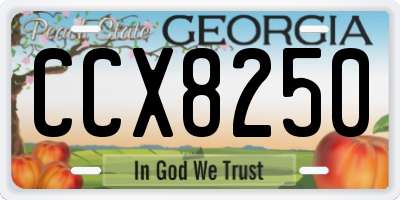 GA license plate CCX8250