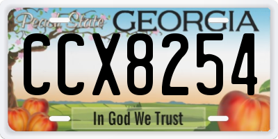GA license plate CCX8254
