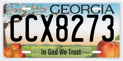 GA license plate CCX8273