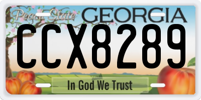 GA license plate CCX8289
