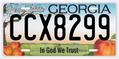 GA license plate CCX8299