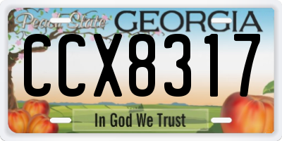 GA license plate CCX8317