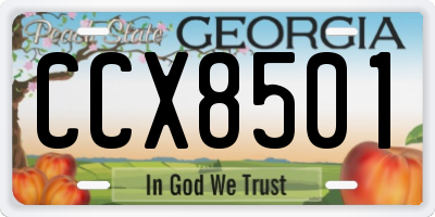 GA license plate CCX8501