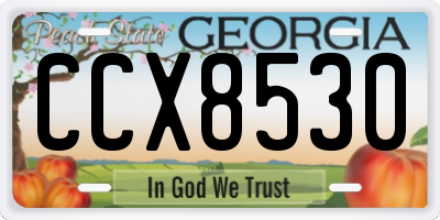 GA license plate CCX8530