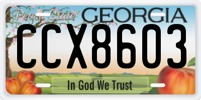 GA license plate CCX8603