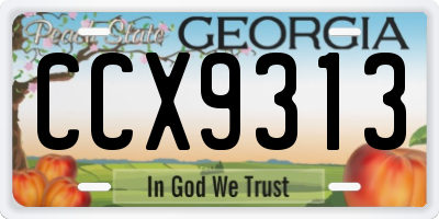 GA license plate CCX9313