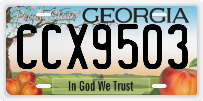 GA license plate CCX9503