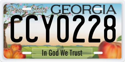 GA license plate CCY0228