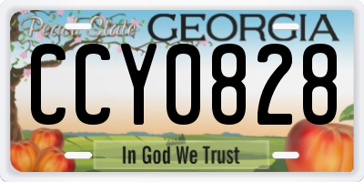 GA license plate CCY0828