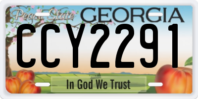 GA license plate CCY2291