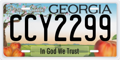 GA license plate CCY2299