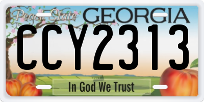 GA license plate CCY2313