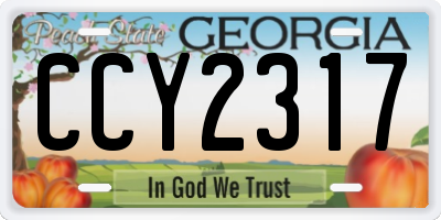 GA license plate CCY2317