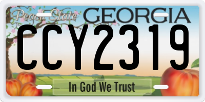 GA license plate CCY2319