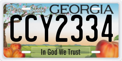 GA license plate CCY2334