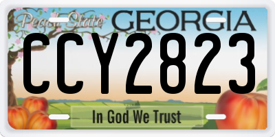 GA license plate CCY2823