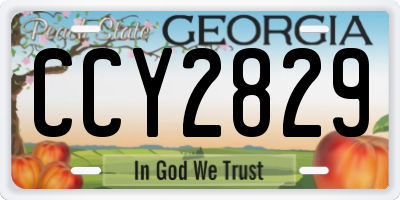 GA license plate CCY2829