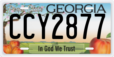 GA license plate CCY2877