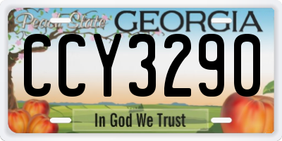 GA license plate CCY3290