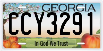 GA license plate CCY3291