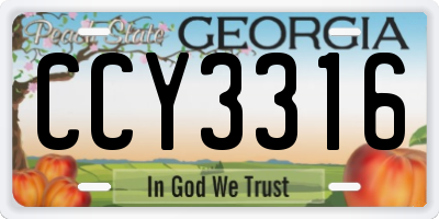 GA license plate CCY3316