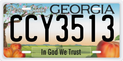GA license plate CCY3513