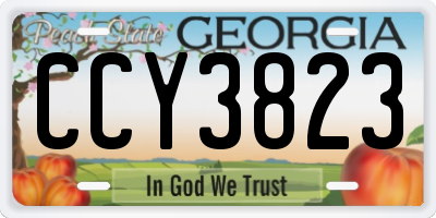 GA license plate CCY3823