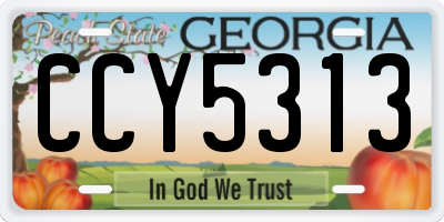 GA license plate CCY5313