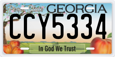 GA license plate CCY5334
