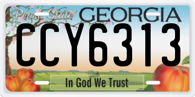 GA license plate CCY6313